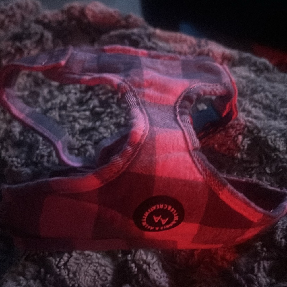 Pink plaid harness